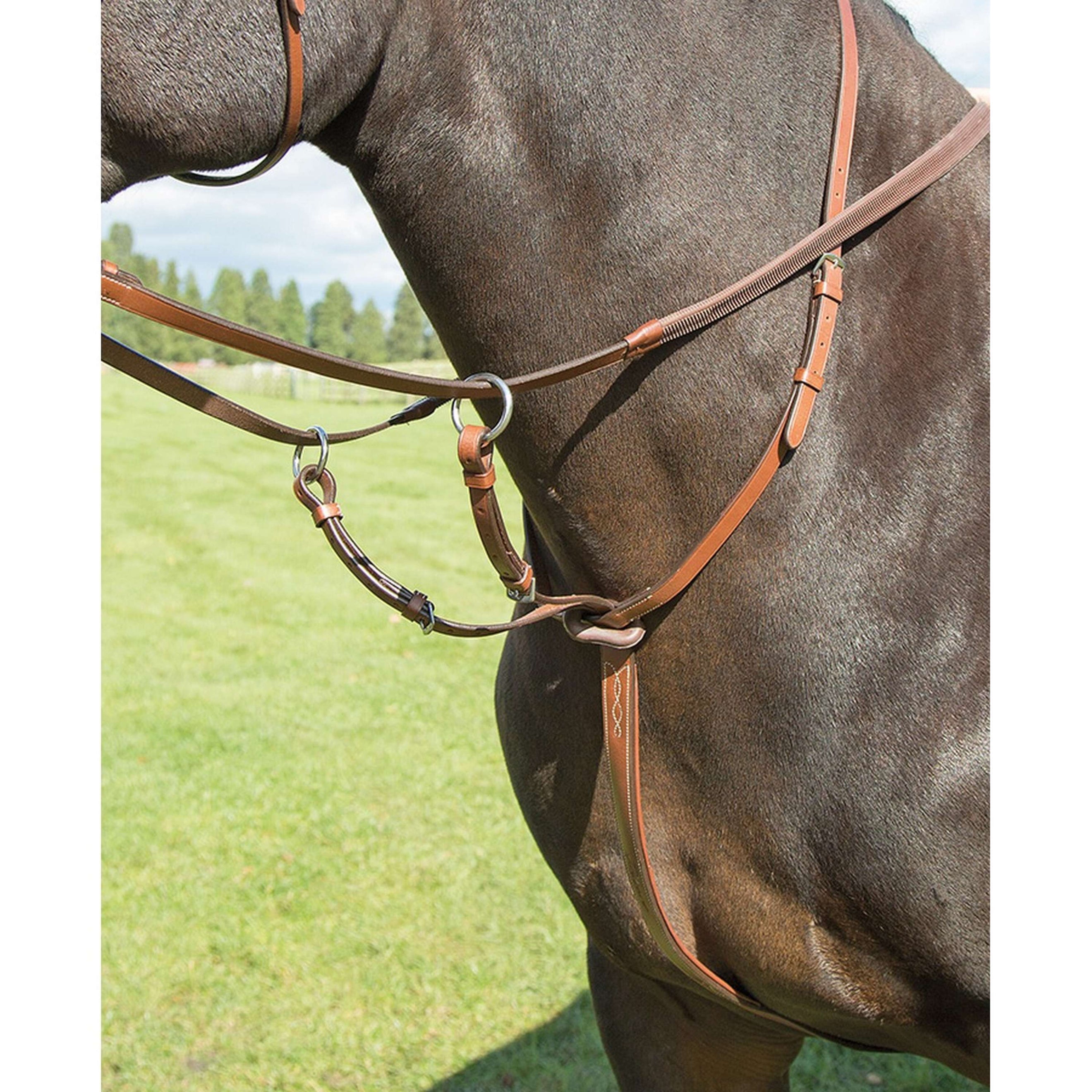 Avignon by Shires Martingale Oak