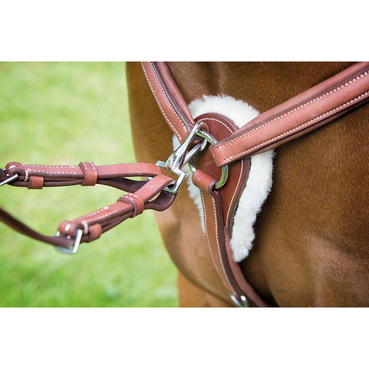 Avignon by Shires Chest Buckle 5 Points Oak