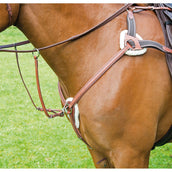 Avignon by Shires Chest Buckle 5 Points Oak