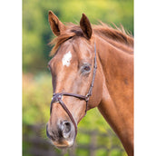 Blenheim Noseband Mexican Havana