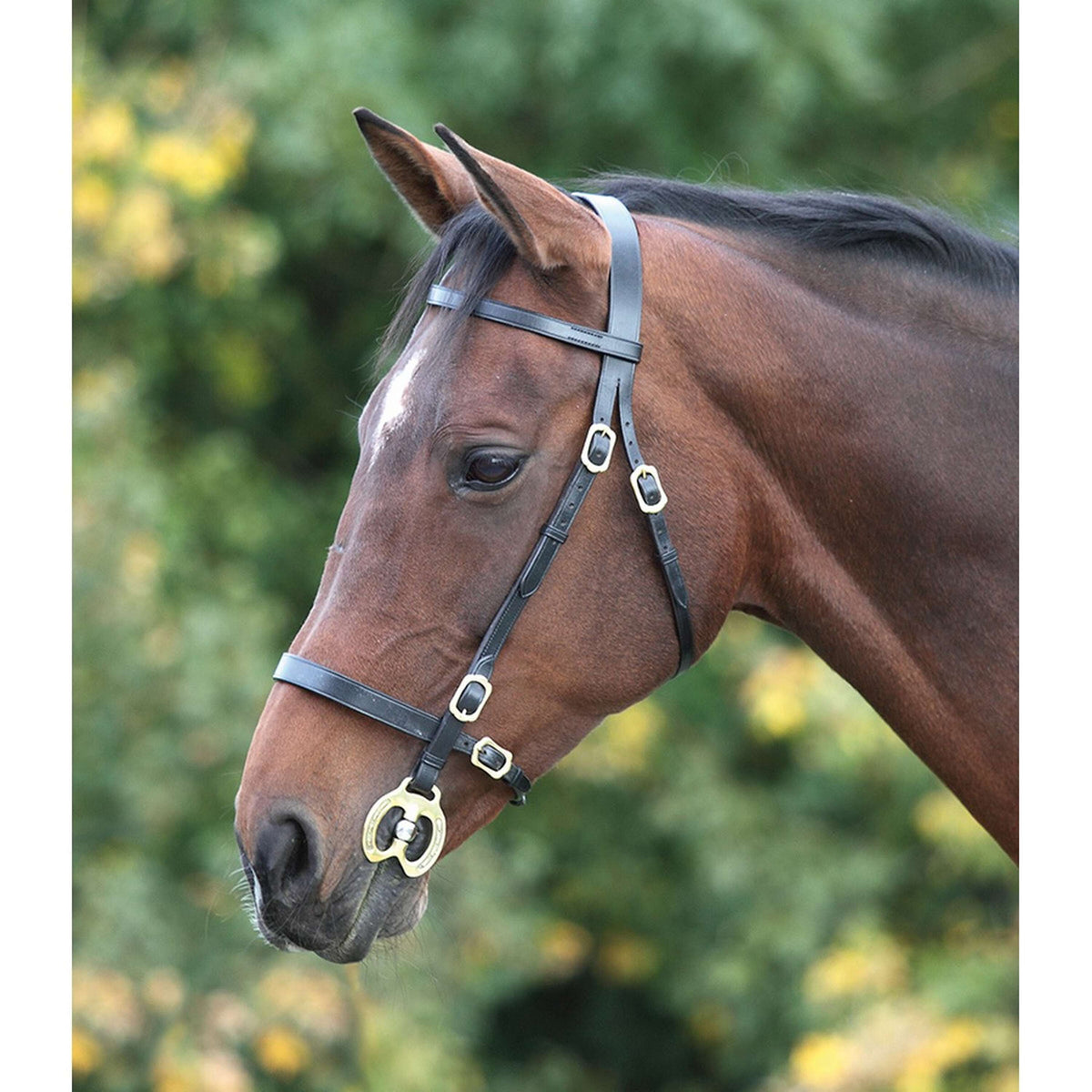 Blenheim Inhand Bridle Plain Havana