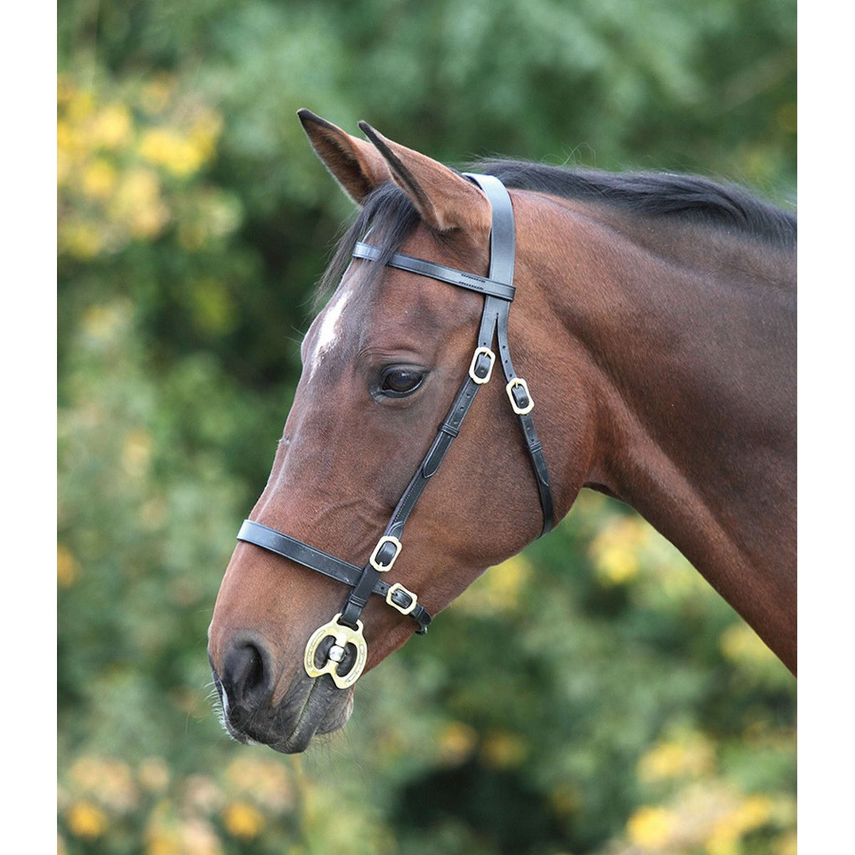 Blenheim Inhand Bridle Plain Black