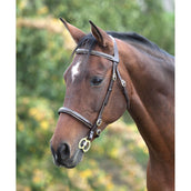 Blenheim Inhand Bridle Fancy Stitched Black