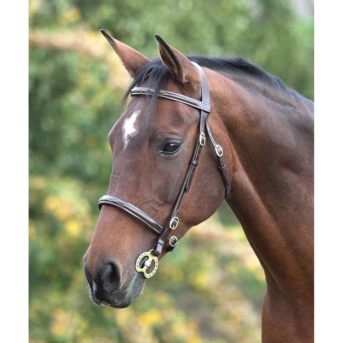 Blenheim Inhand Bridle Fancy Stitched Havana