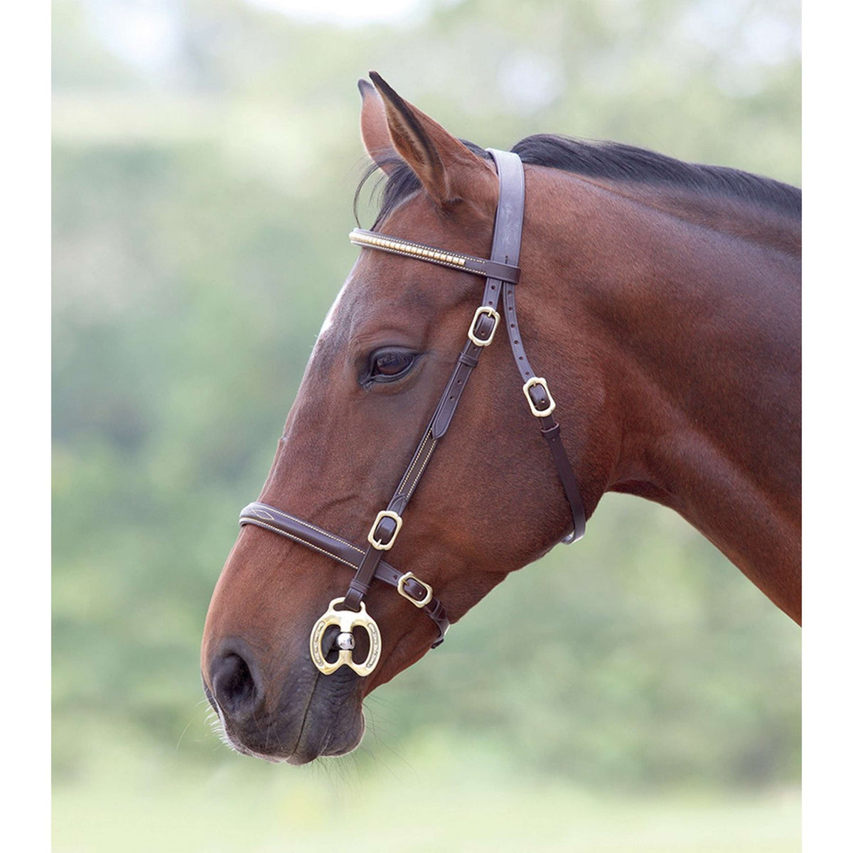 Blenheim Bridle Clincher Inhand Havana