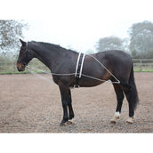 Shires Lunging Aid Black