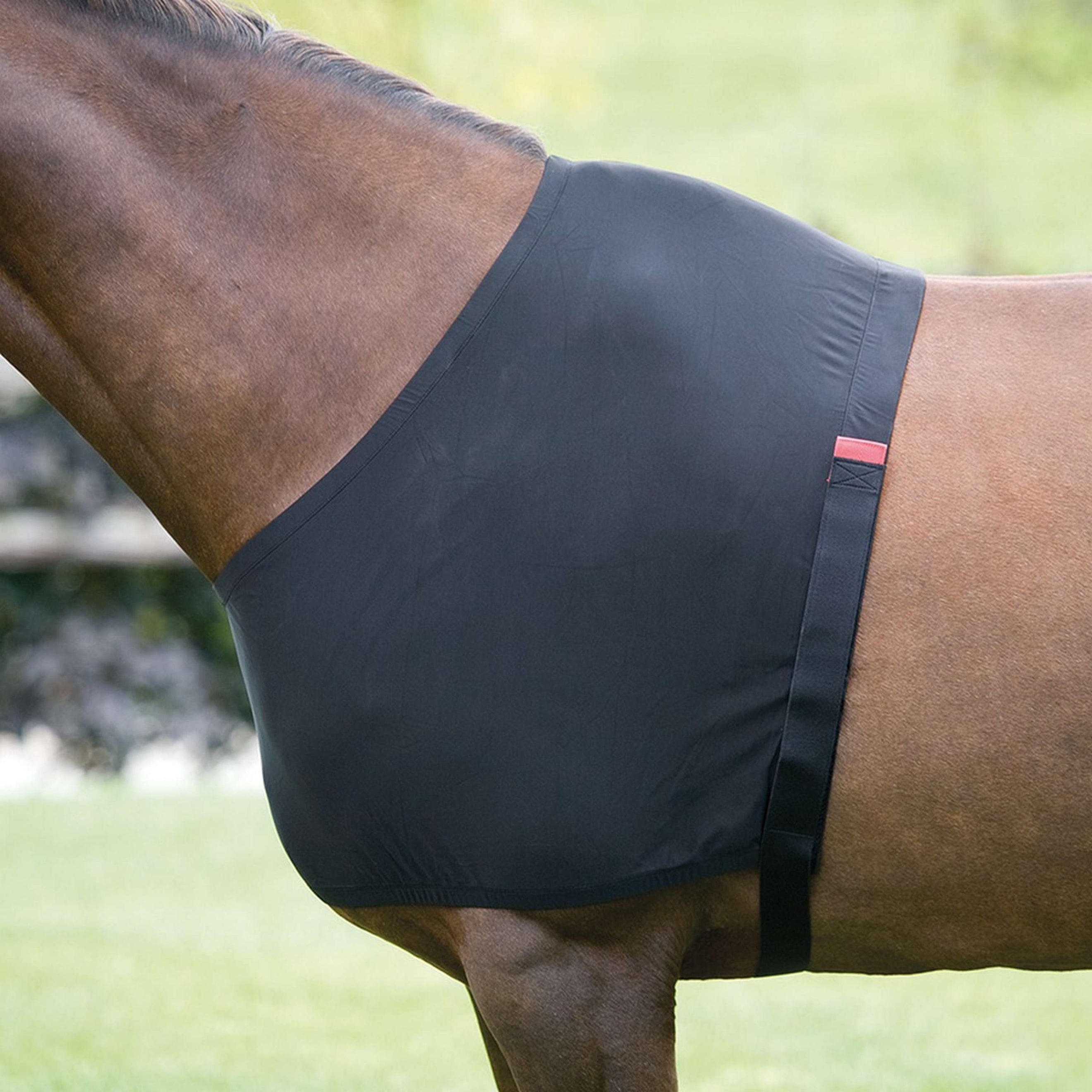 Shires Stretch Vest Anti-Rub Black