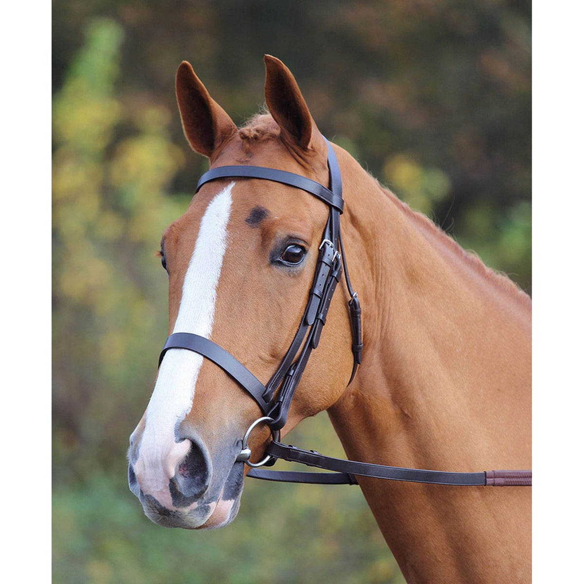 Aviemore by Shires Bridle Plain Black