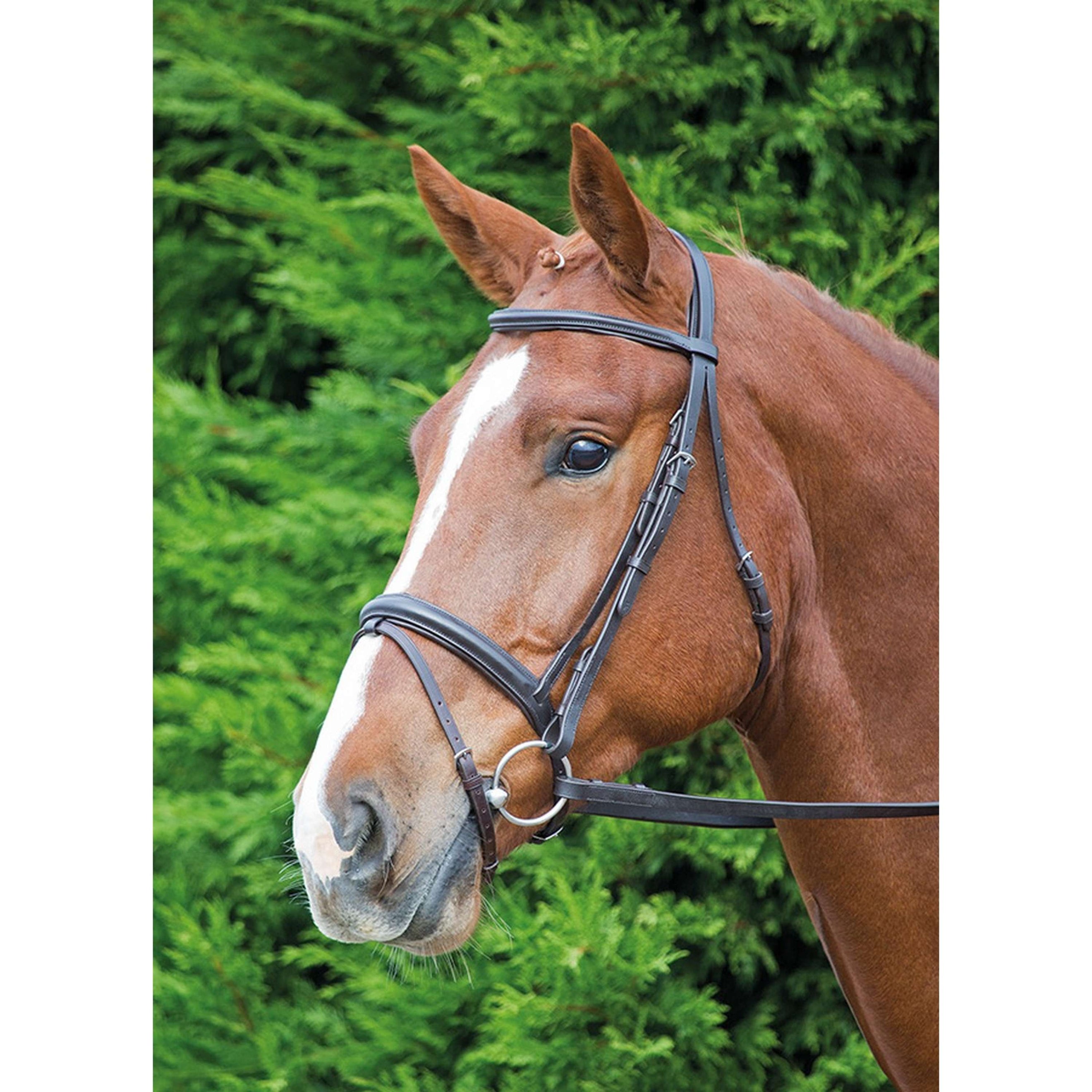 Aviemore Bridle Comfort Fit Havana