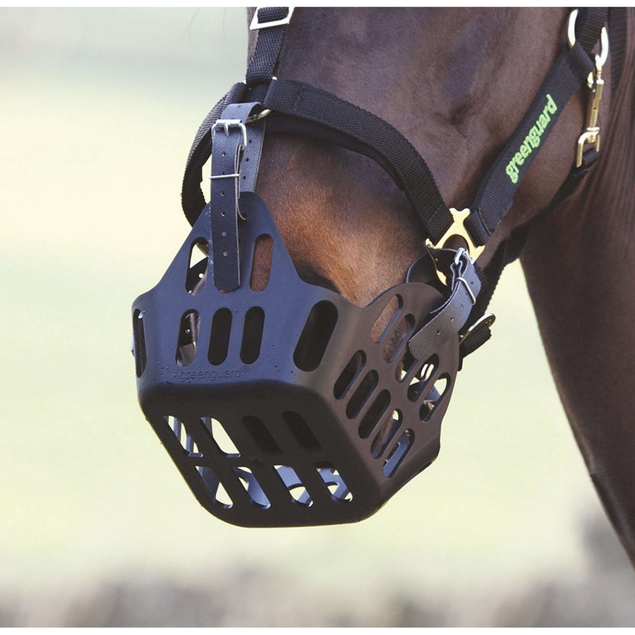 Greenguard by Shires Spare Strap Black