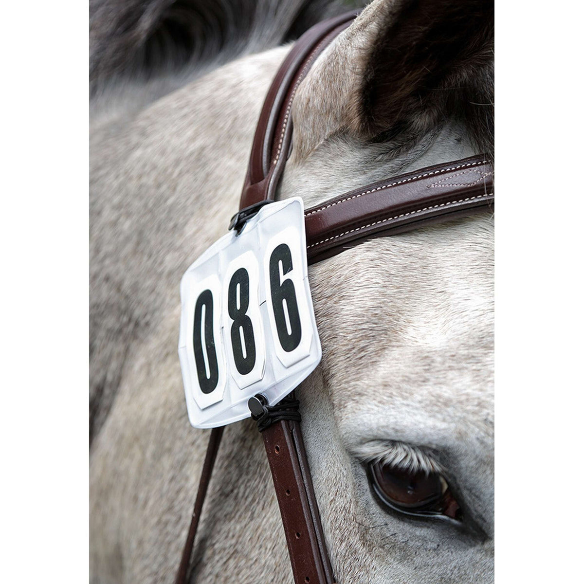 Shires Start Number Holder Comfor White