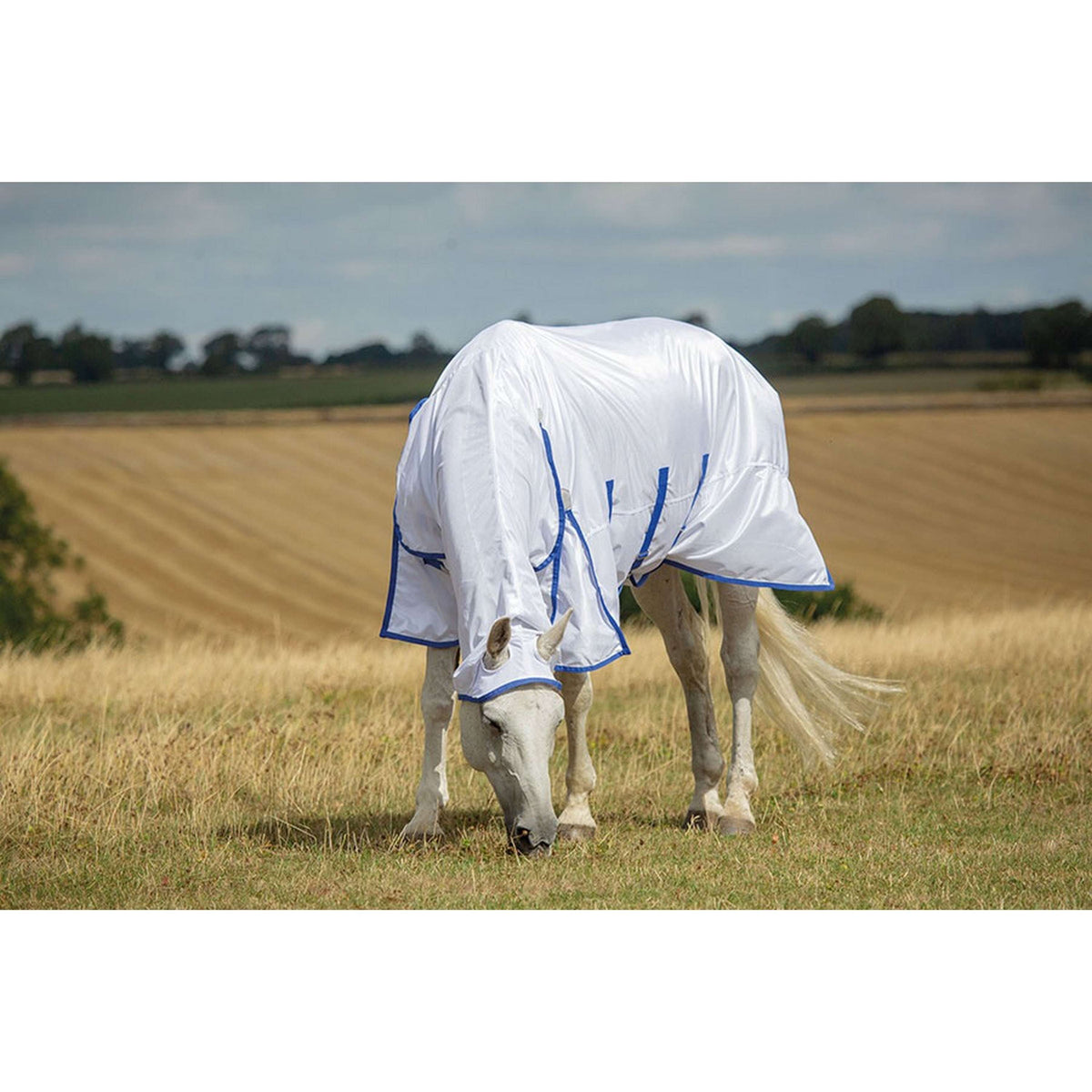 Highlander Plus by Shires Fly Rug Fly Combo White