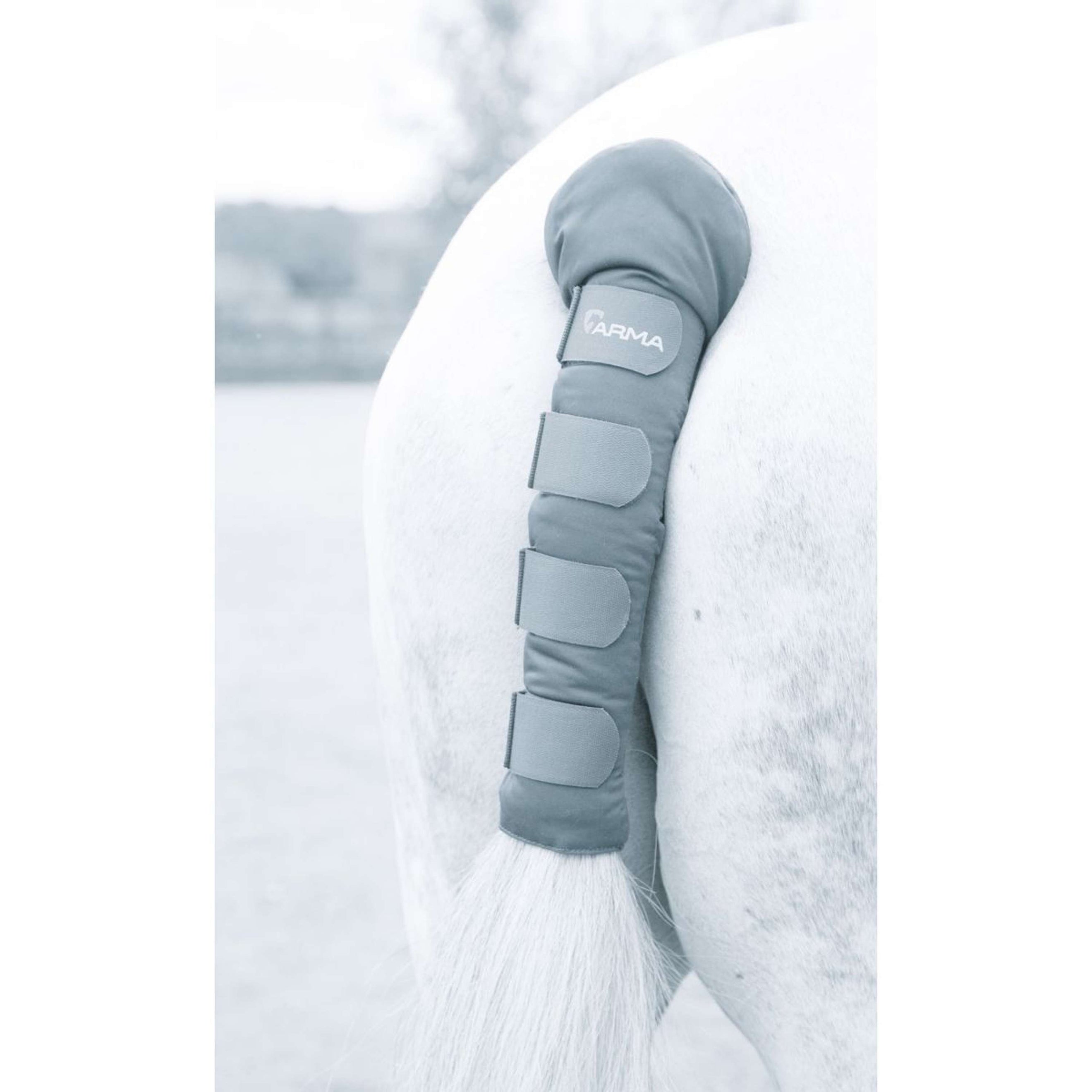 Arma by Shires Tail Guard Padded Grey