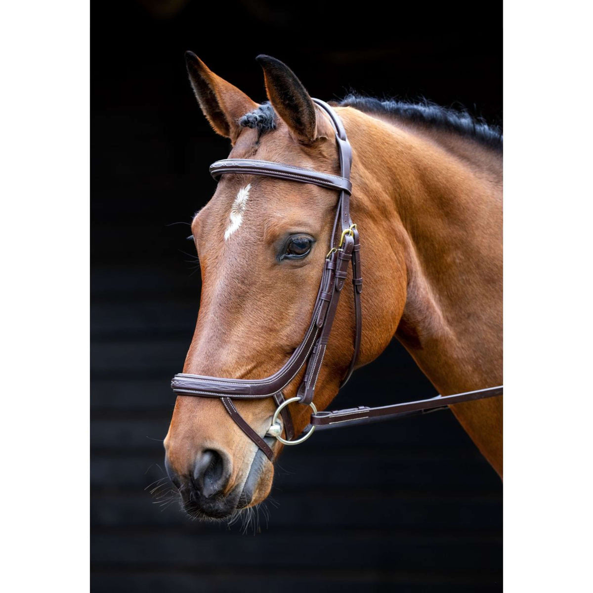 Salisbury Bridle Buckingham Australian Nut