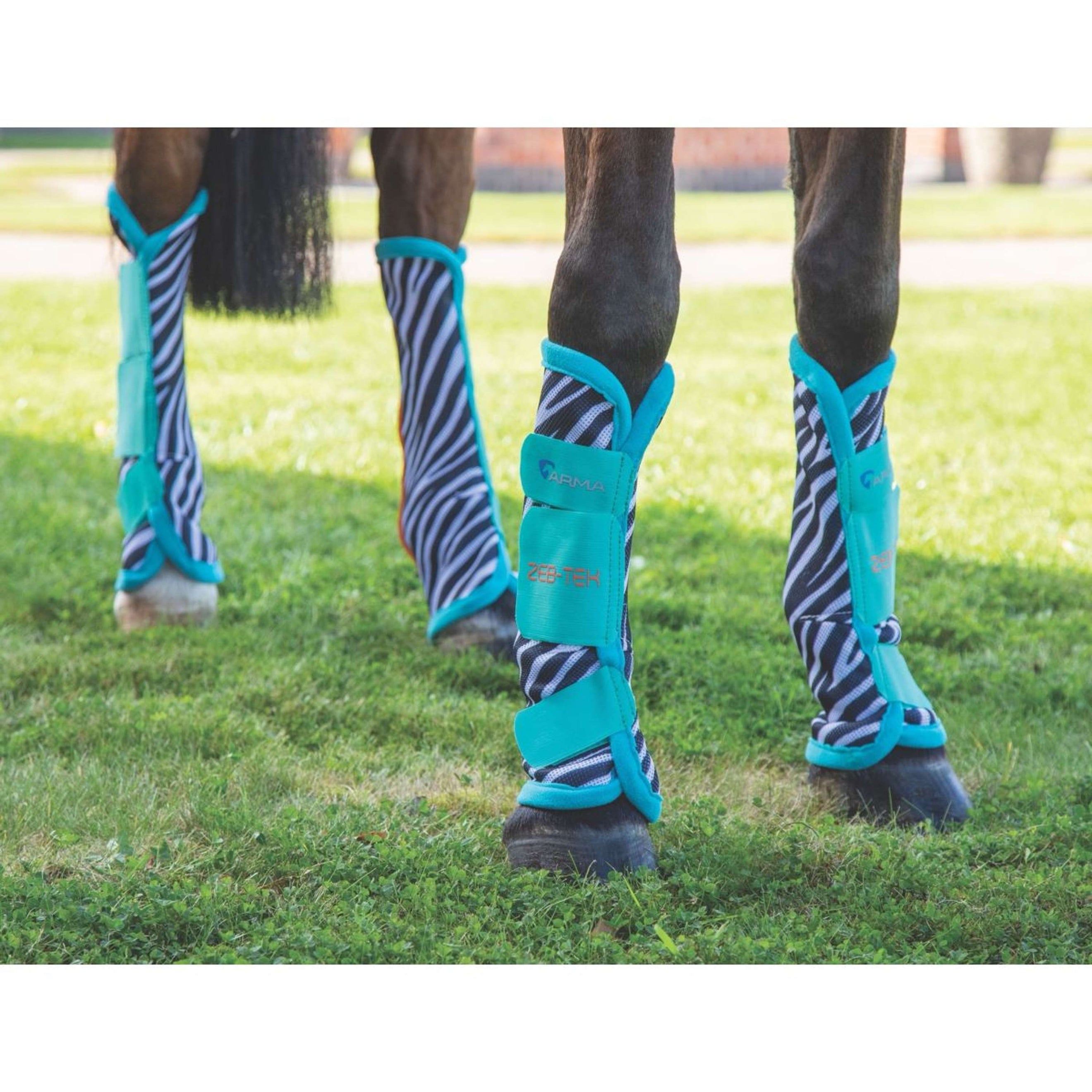 Arma by Shires Leg protection ZEB-TEK Fly Zebra