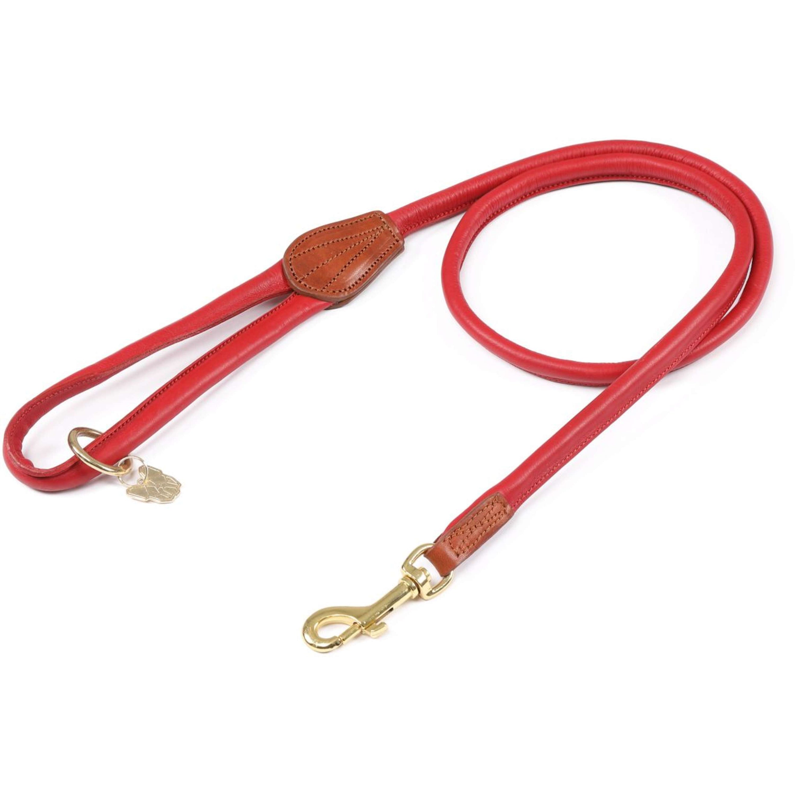 Digby & Fox Dog Leash Rolled Scarlett