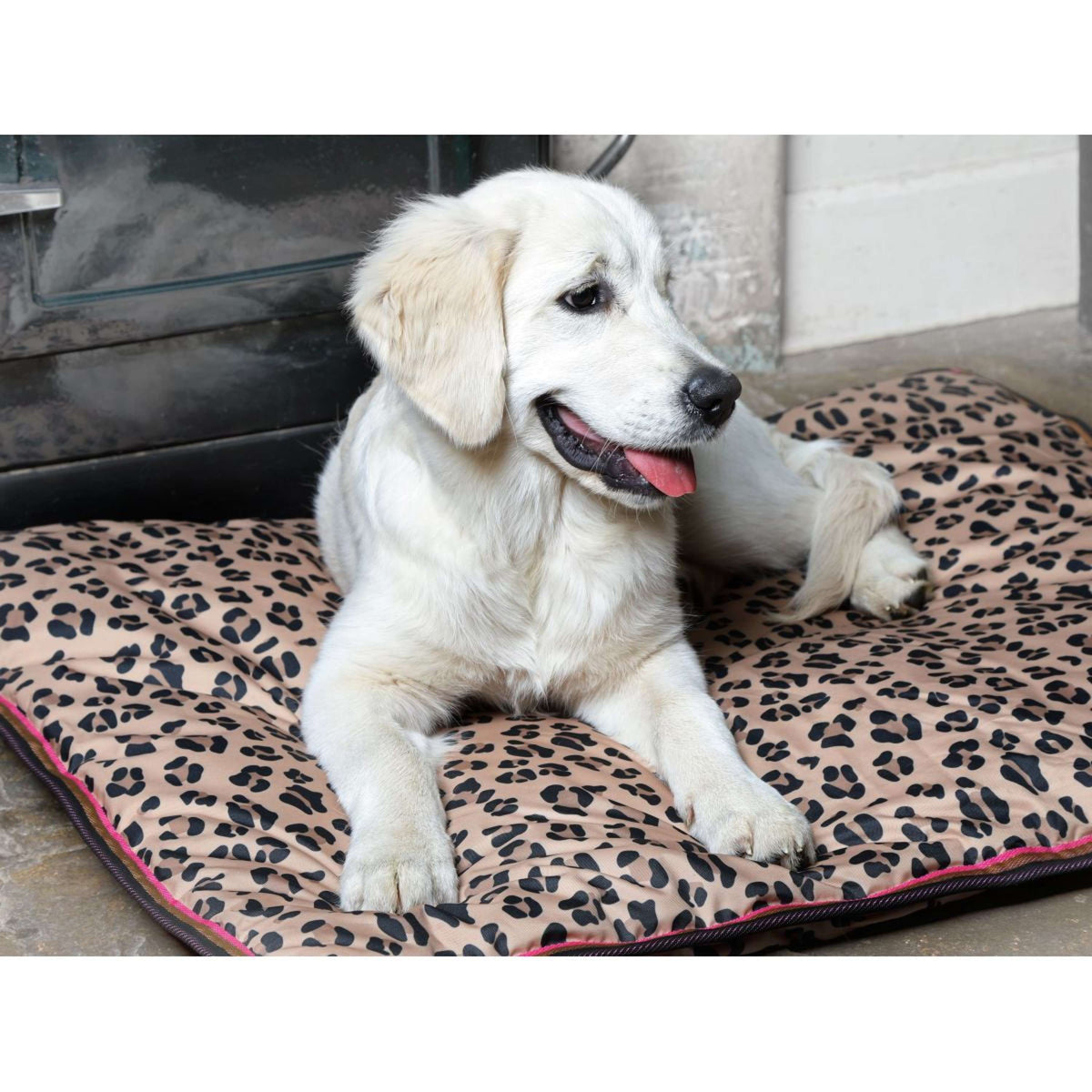 Digby & Fox Dog Bed Waterproof Leopard