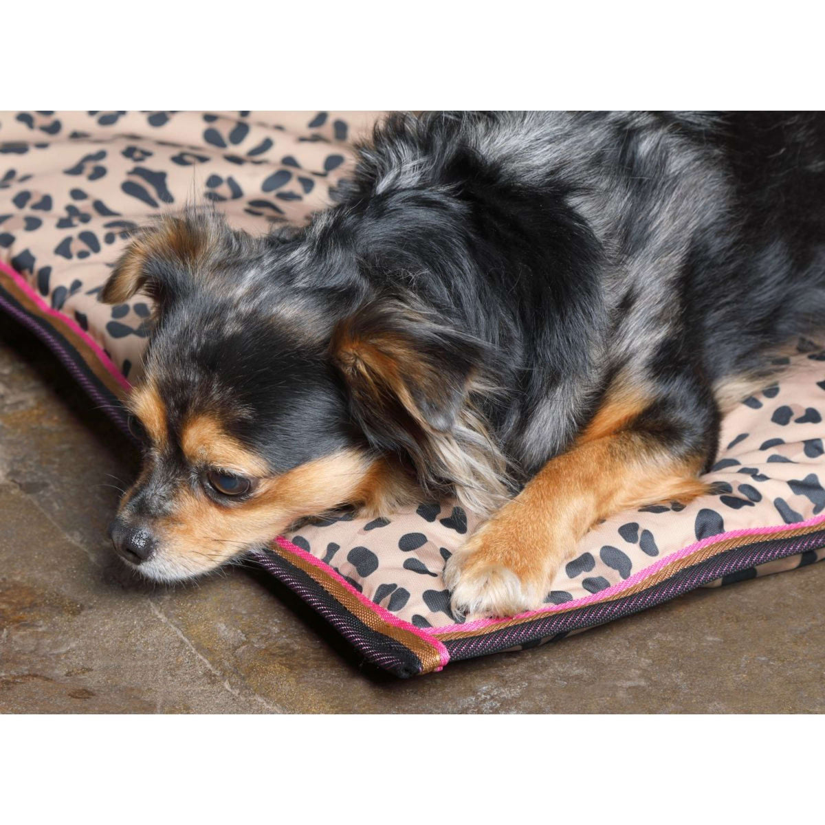 Digby & Fox Dog Bed Waterproof Leopard