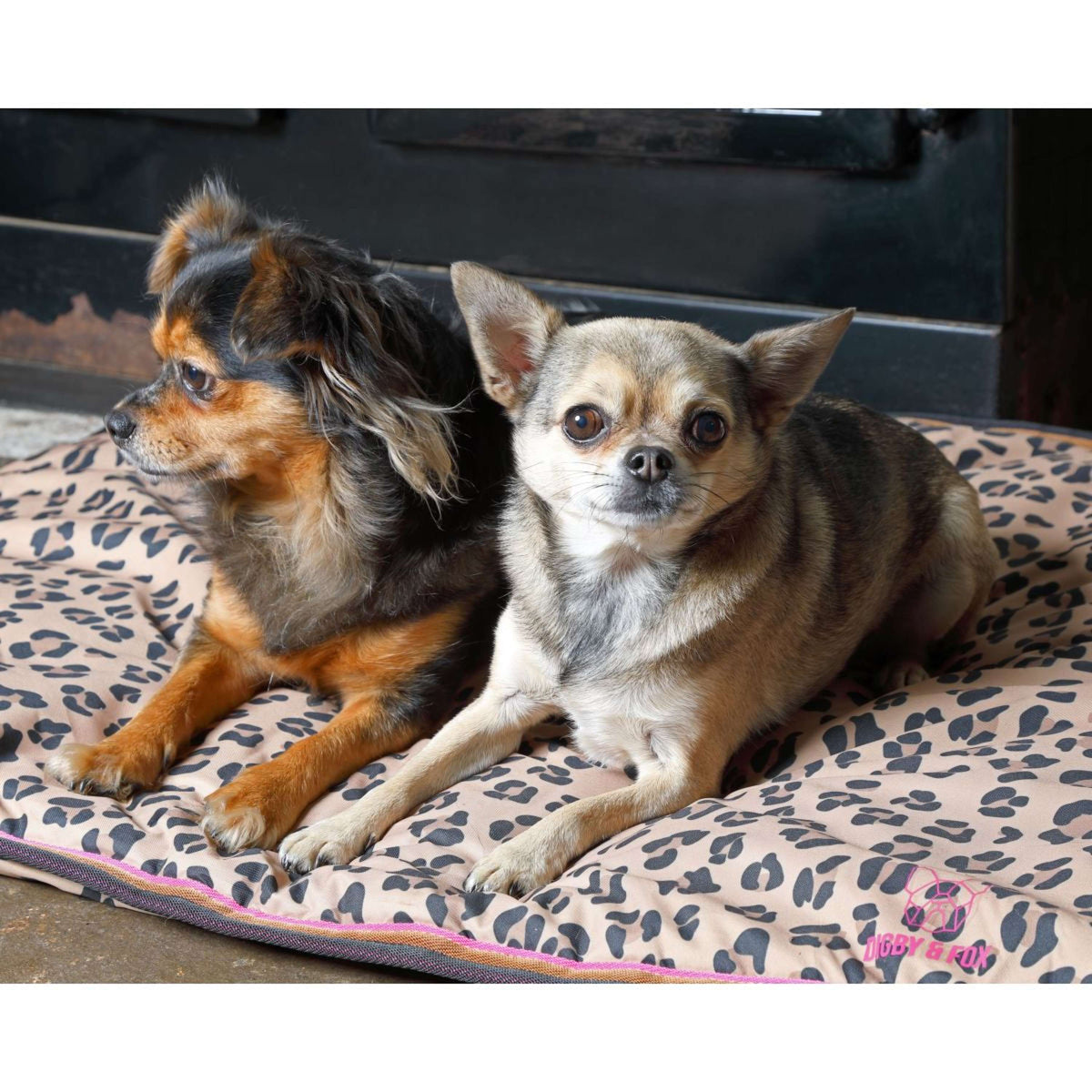 Digby & Fox Dog Bed Waterproof Leopard