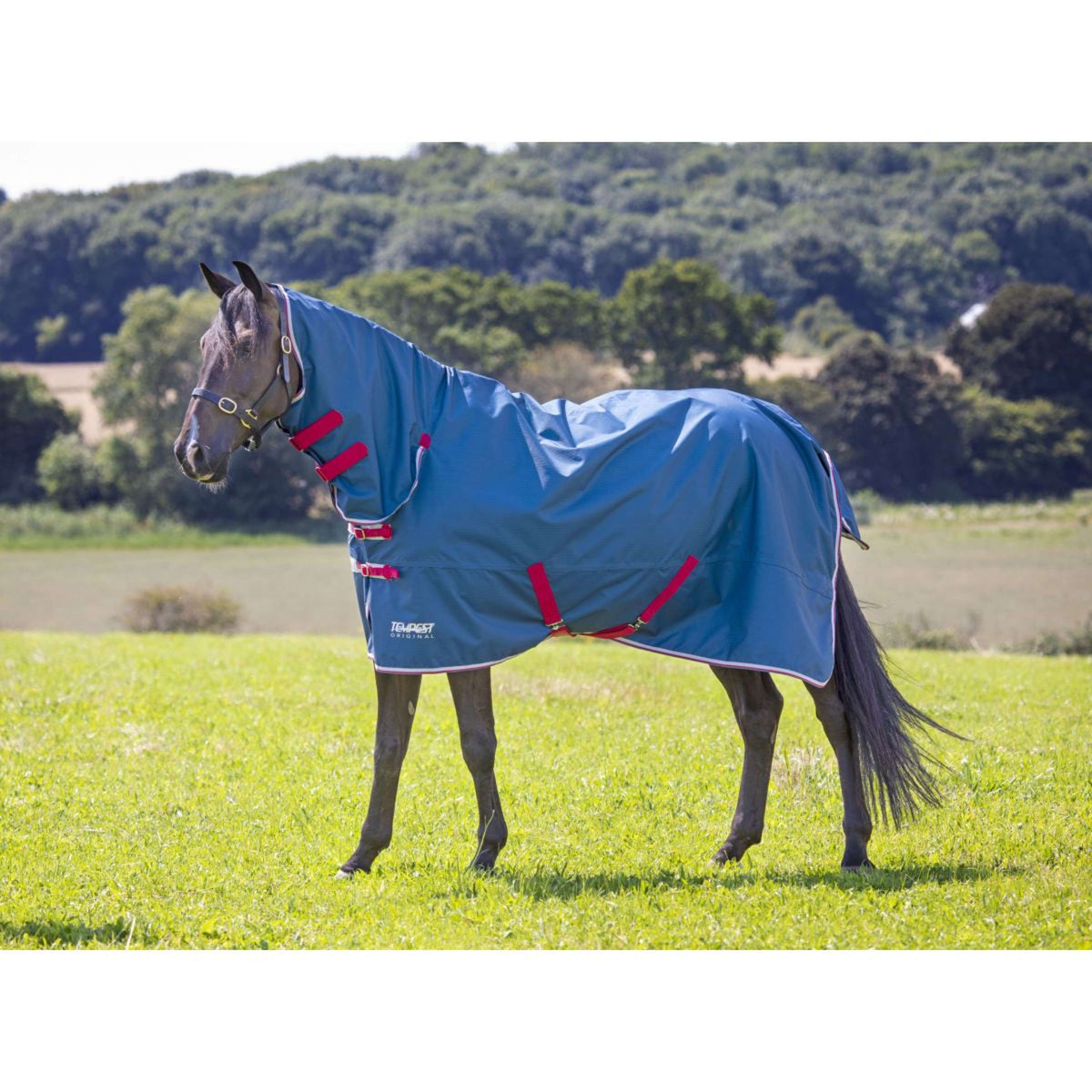 Tempest Original Rain Rug Lite Combo Teal