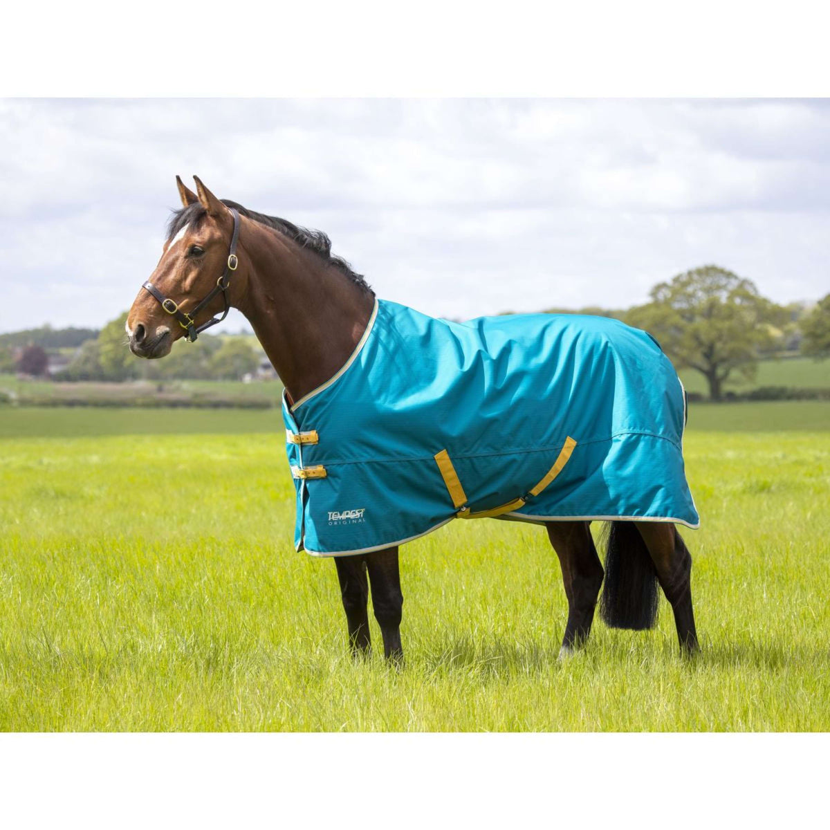 Tempest Original Winter Rug Turnout 50g Blue