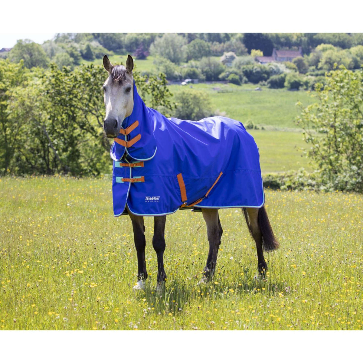 Tempest Original Winter Rug Turnout 50g Combo Royal