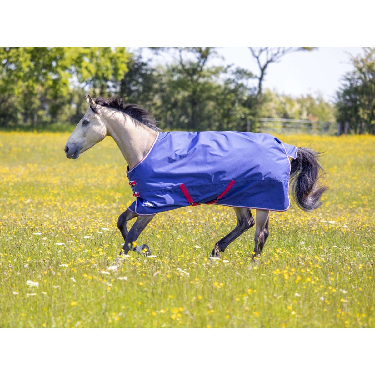 Tempest Original Winter Rug Turnout 100g with Hood Navy