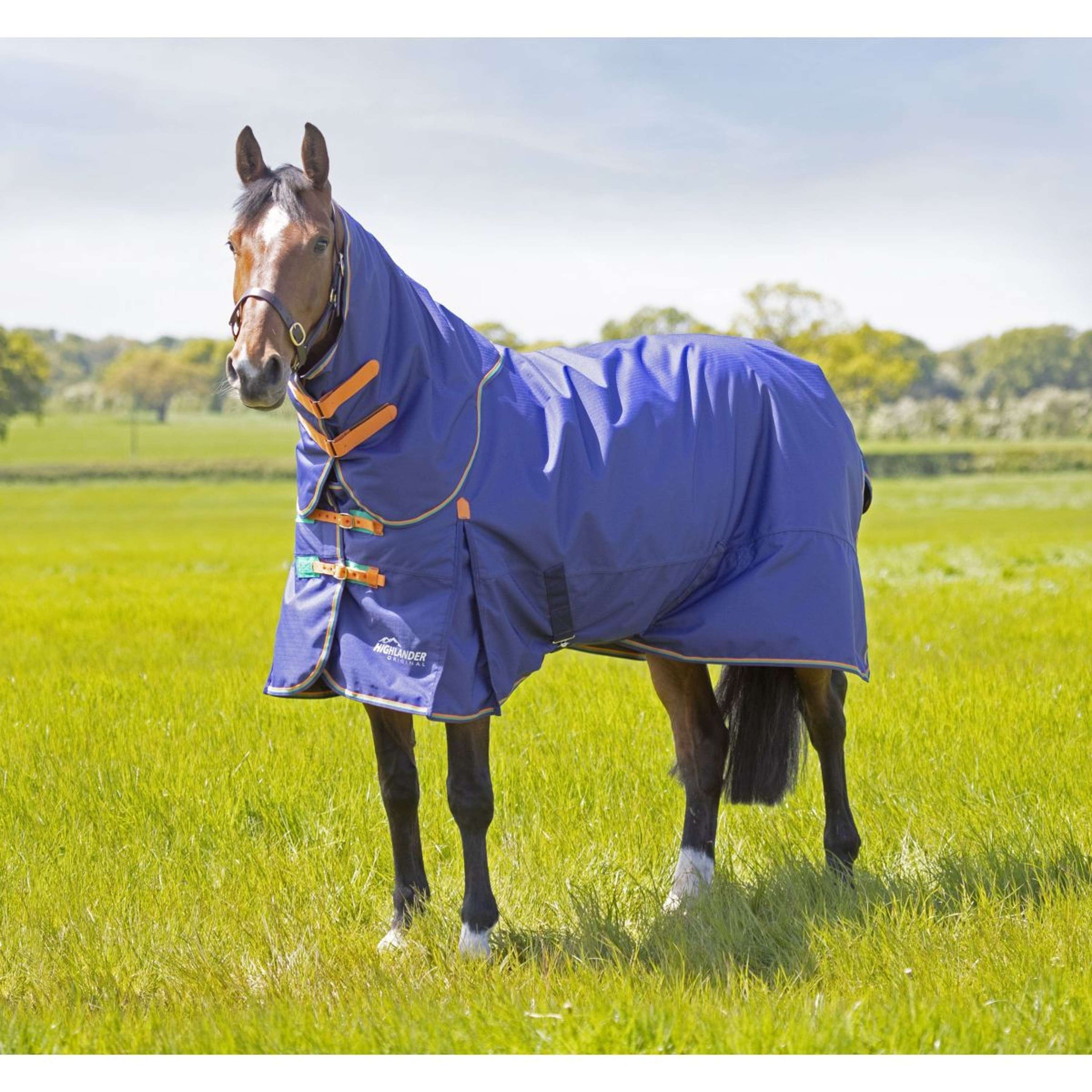 Highlander Original Winter Rug Turnout 100g with Hood Navy