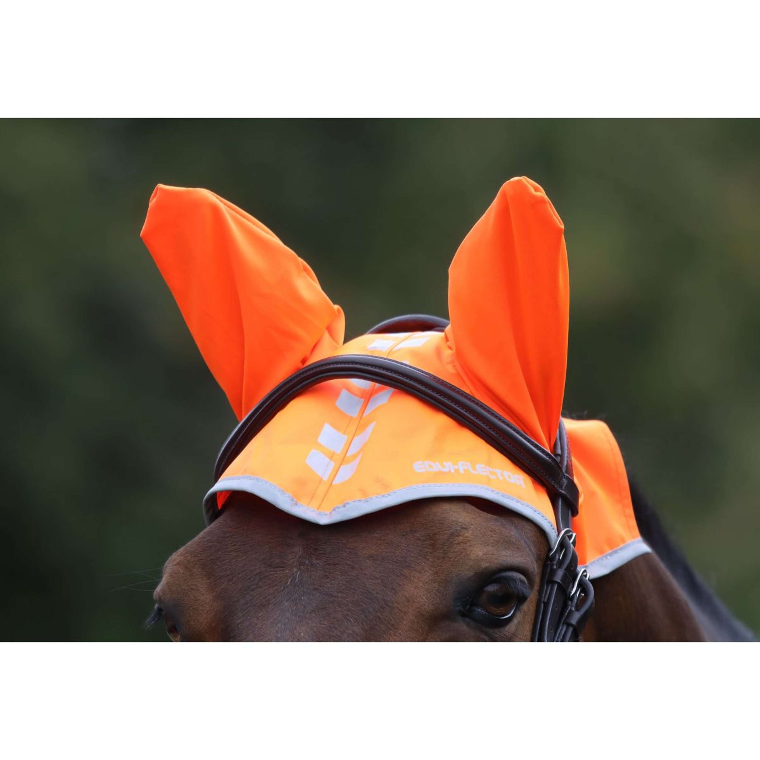 Equi-Flector Ear Net Reflective Orange