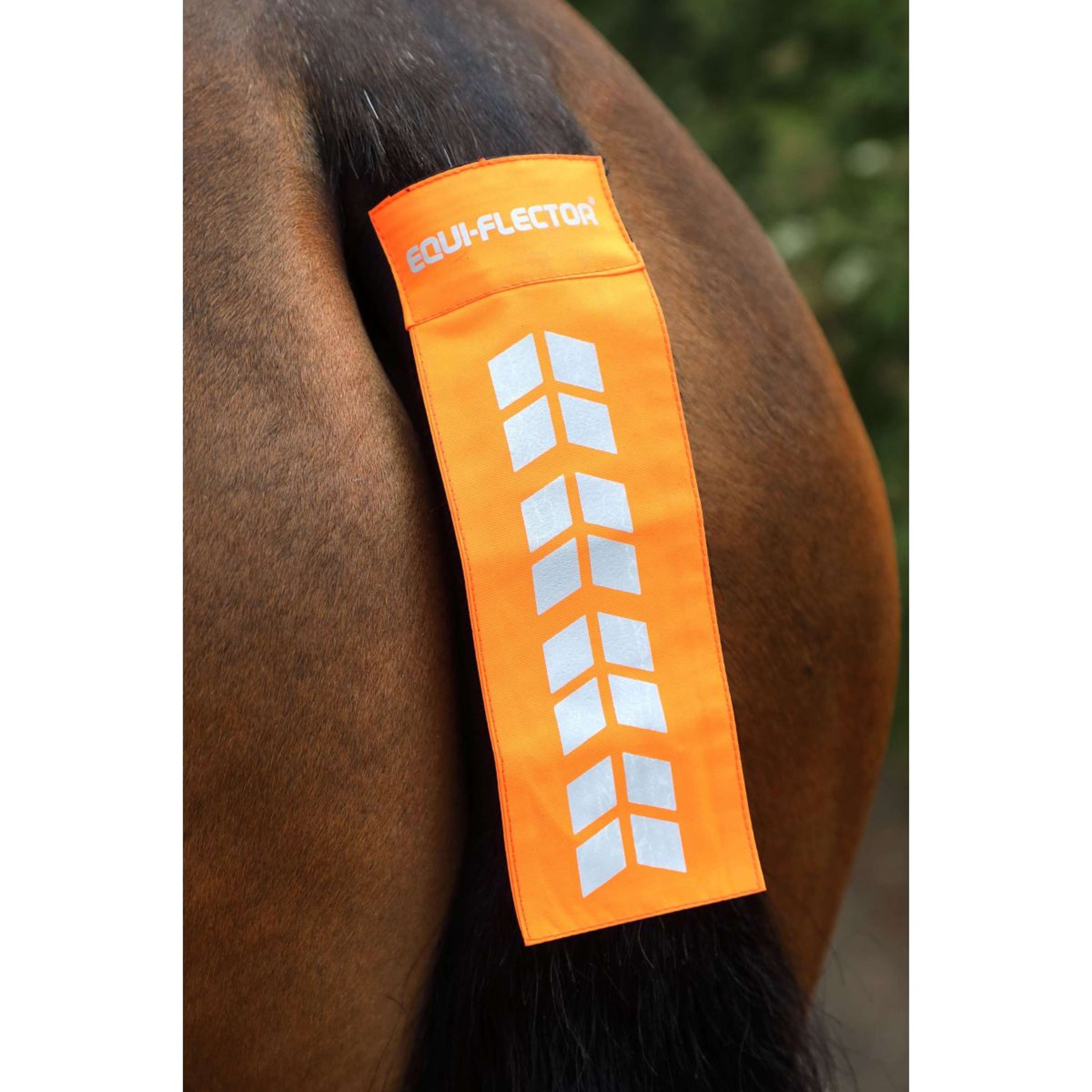 Equi-Flector Tail Band Mesh Reflective Orange