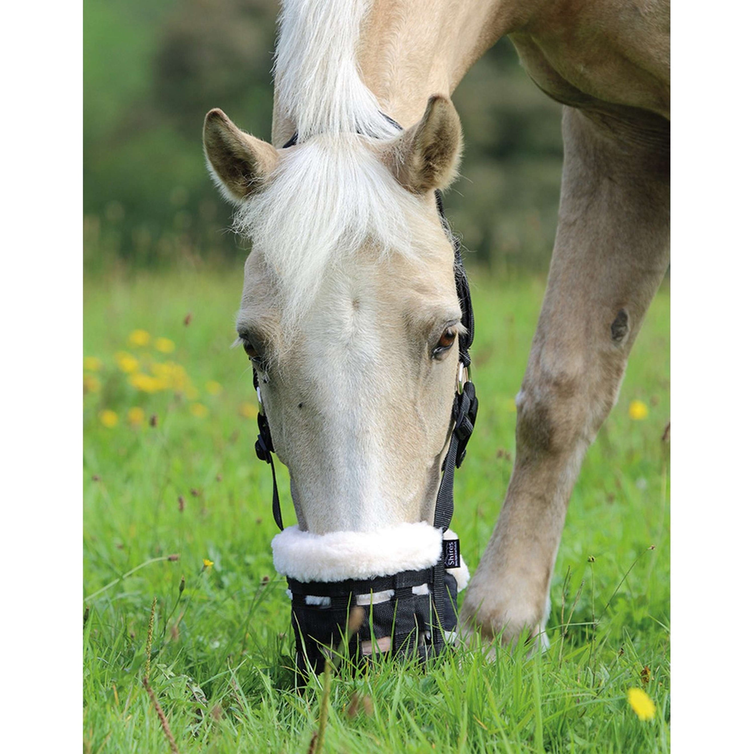 Shires Grazing Muzzle Deluxe Comfort Black