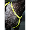 Equi-Flector by Shires Front Strap Reflective Fluor Yellow