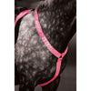 Equi-Flector by Shires Front Strap Reflective Fluor Pink