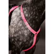 Equi-Flector Front Strap Reflective Fluor Pink Equi-Flector Front Strap Reflective Fluor Pink
