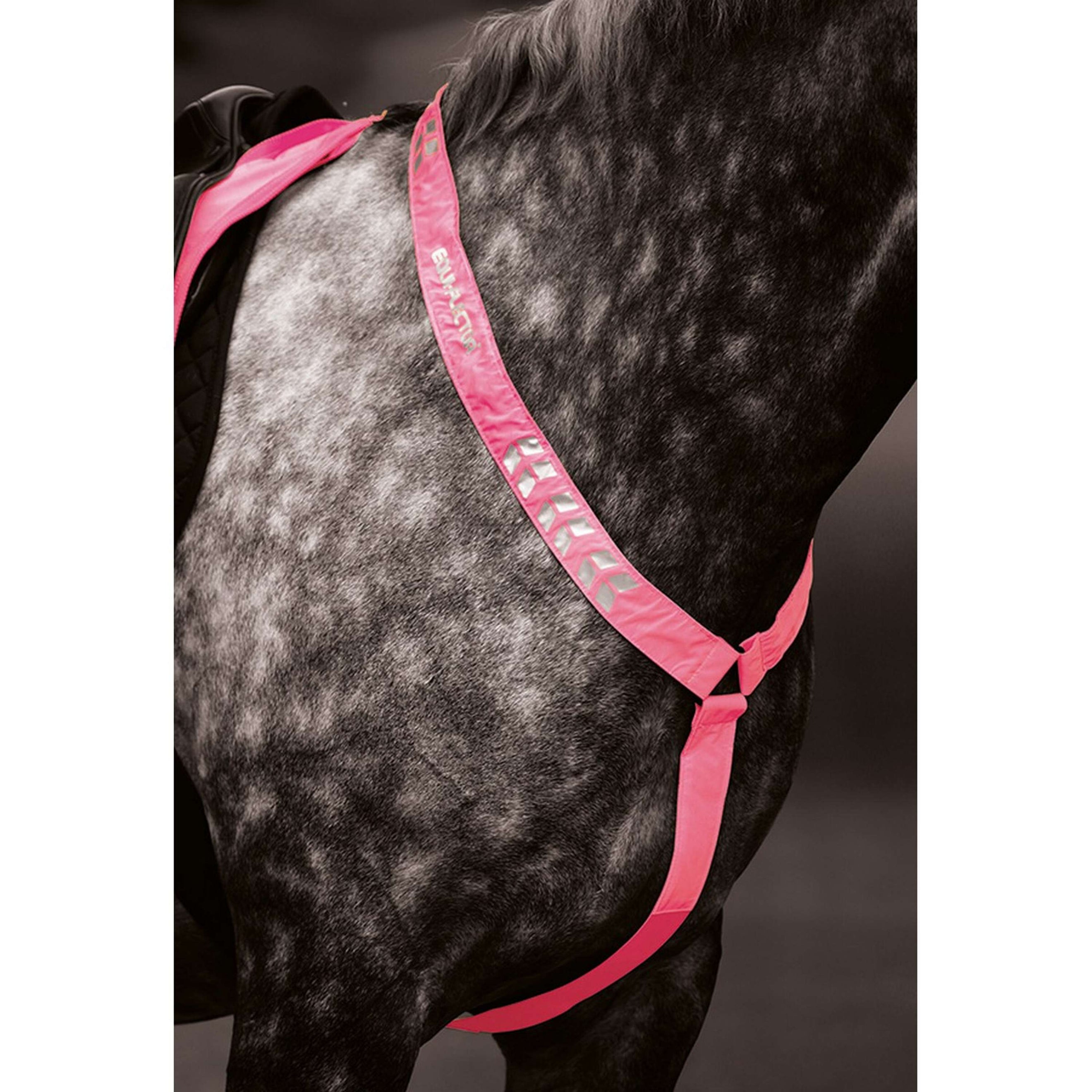 Equi-Flector Front Strap Reflective Fluor Pink Equi-Flector Front Strap Reflective Fluor Pink