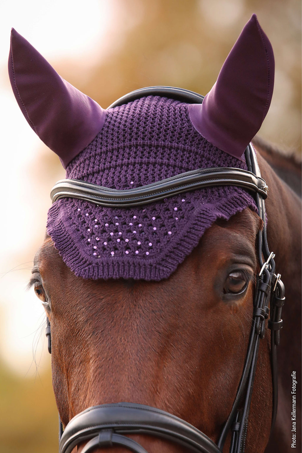 Schockemöhle Ear Bonnet Elegant Spark Dark Purple