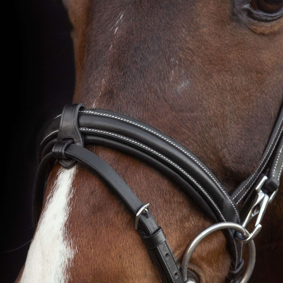 Schockemöhle Bridle Dortmund Black/Cream/Silver