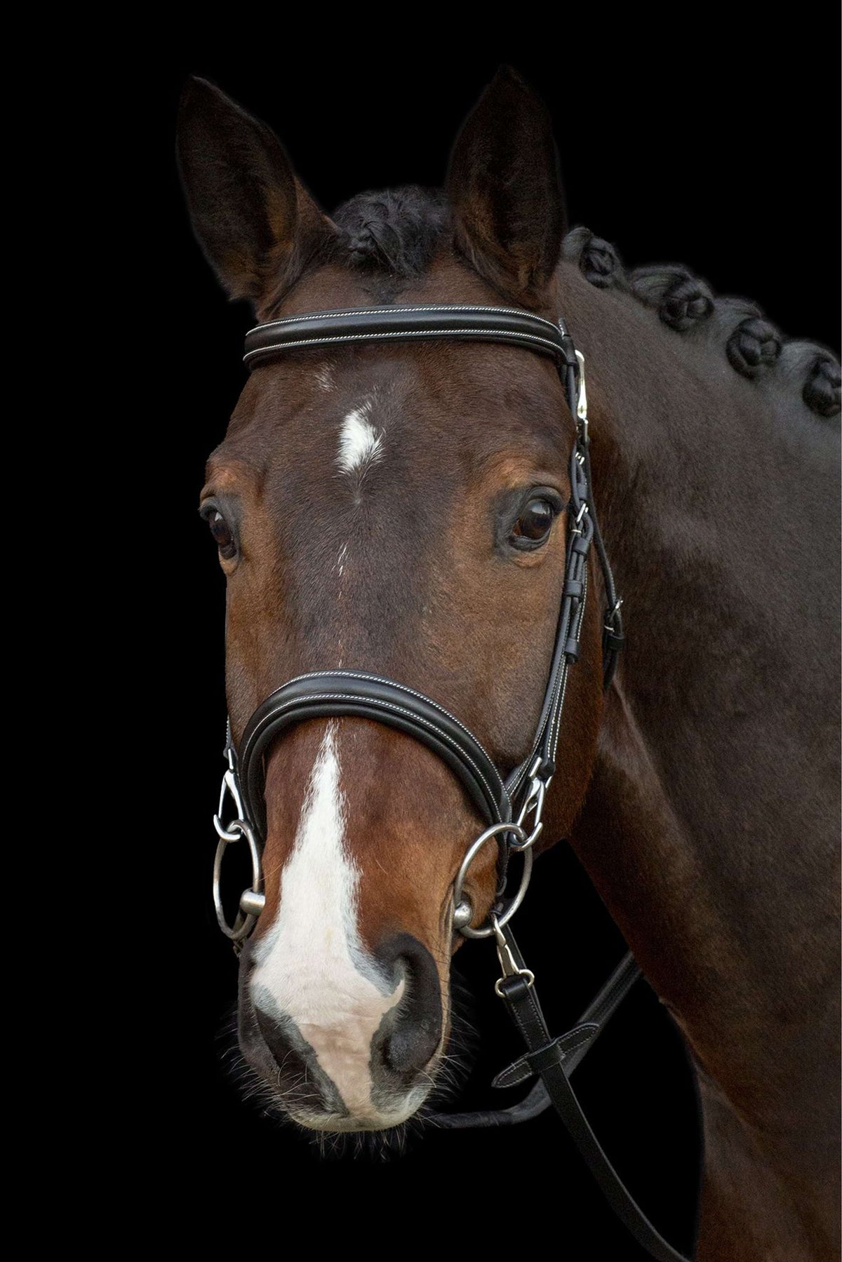 Schockemöhle Bridle Dortmund Black/Cream/Silver