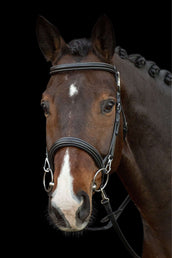 Schockemöhle Bridle Dortmund Black/Cream/Silver