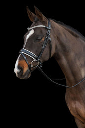 Schockemöhle Bridle Malaga Black/White/Silver