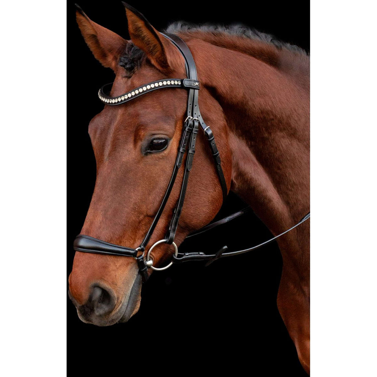 Schockemöhle Bridle Pisa Black/Silver