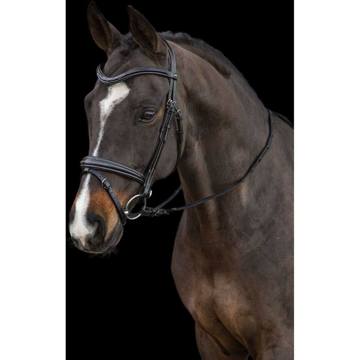 Schockemöhle Bridle Monza Black/Silver