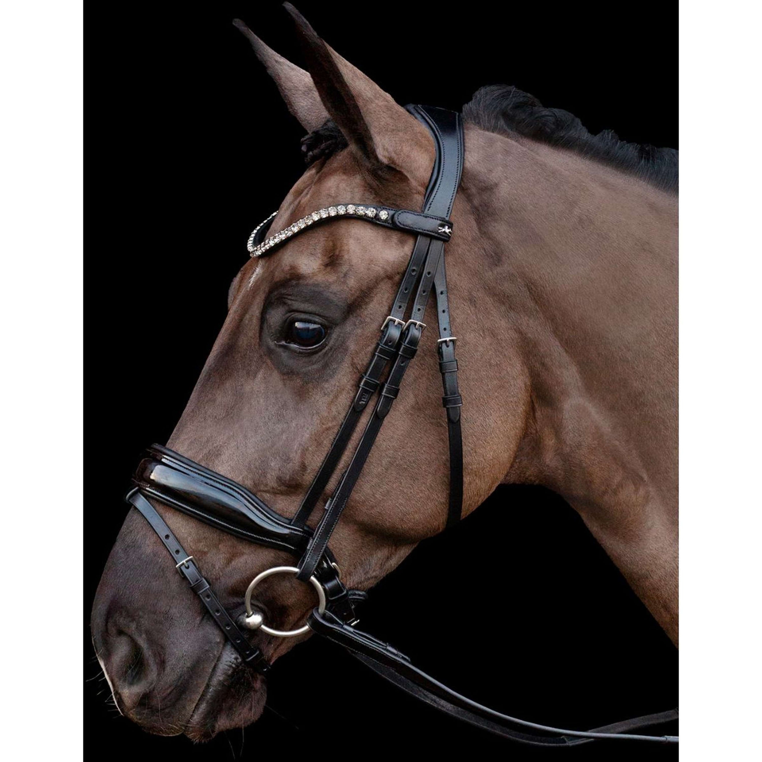 Schockemöhle Bridle Siena Black/Patent/Gray Schockemöhle Bridle Siena Black/Patent/Gray