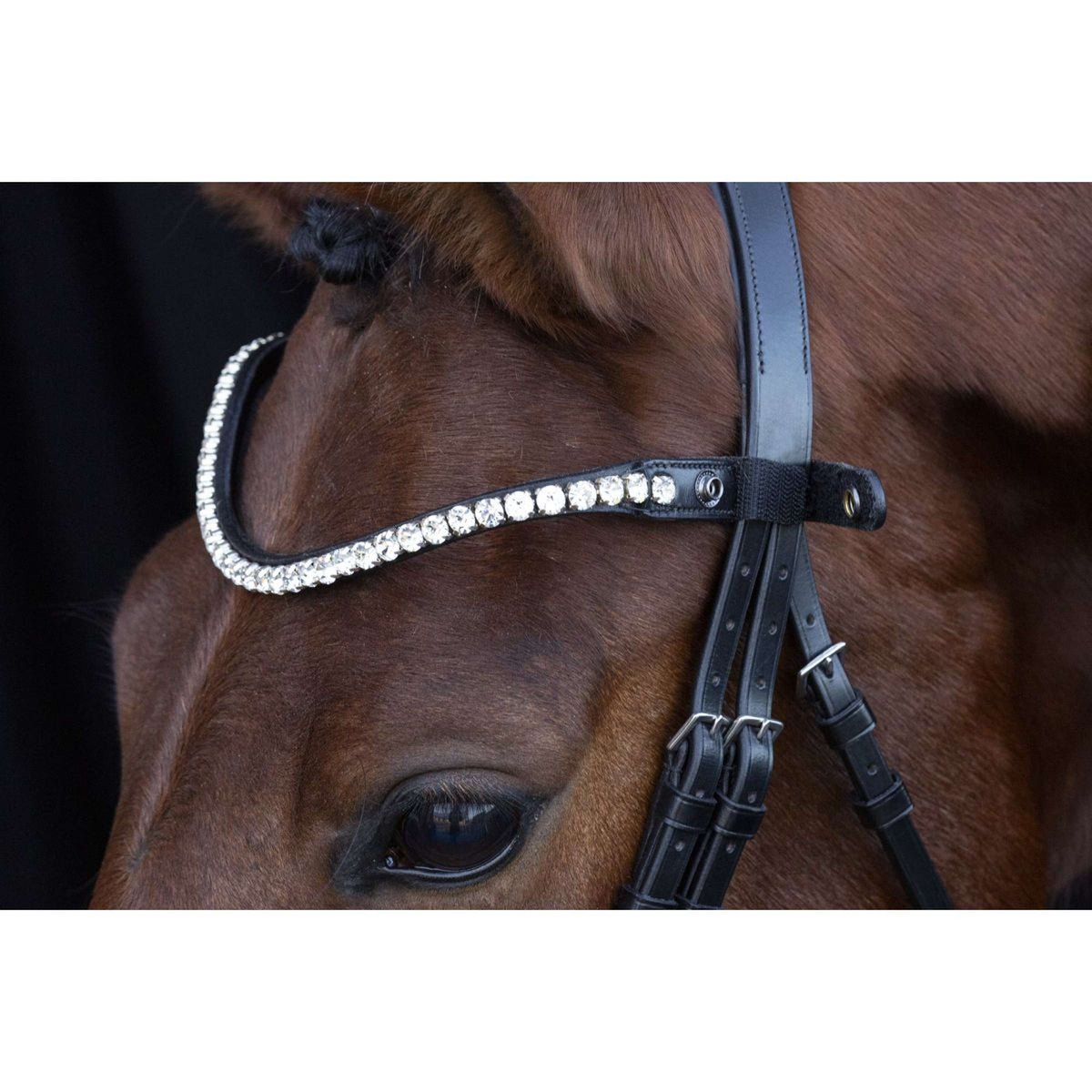 Schockemöhle Bridle Siena Black/Silver