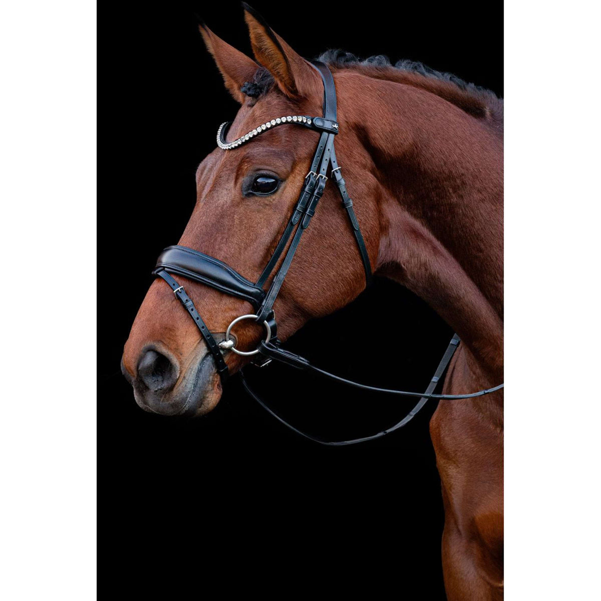 Schockemöhle Bridle Siena Black/Silver