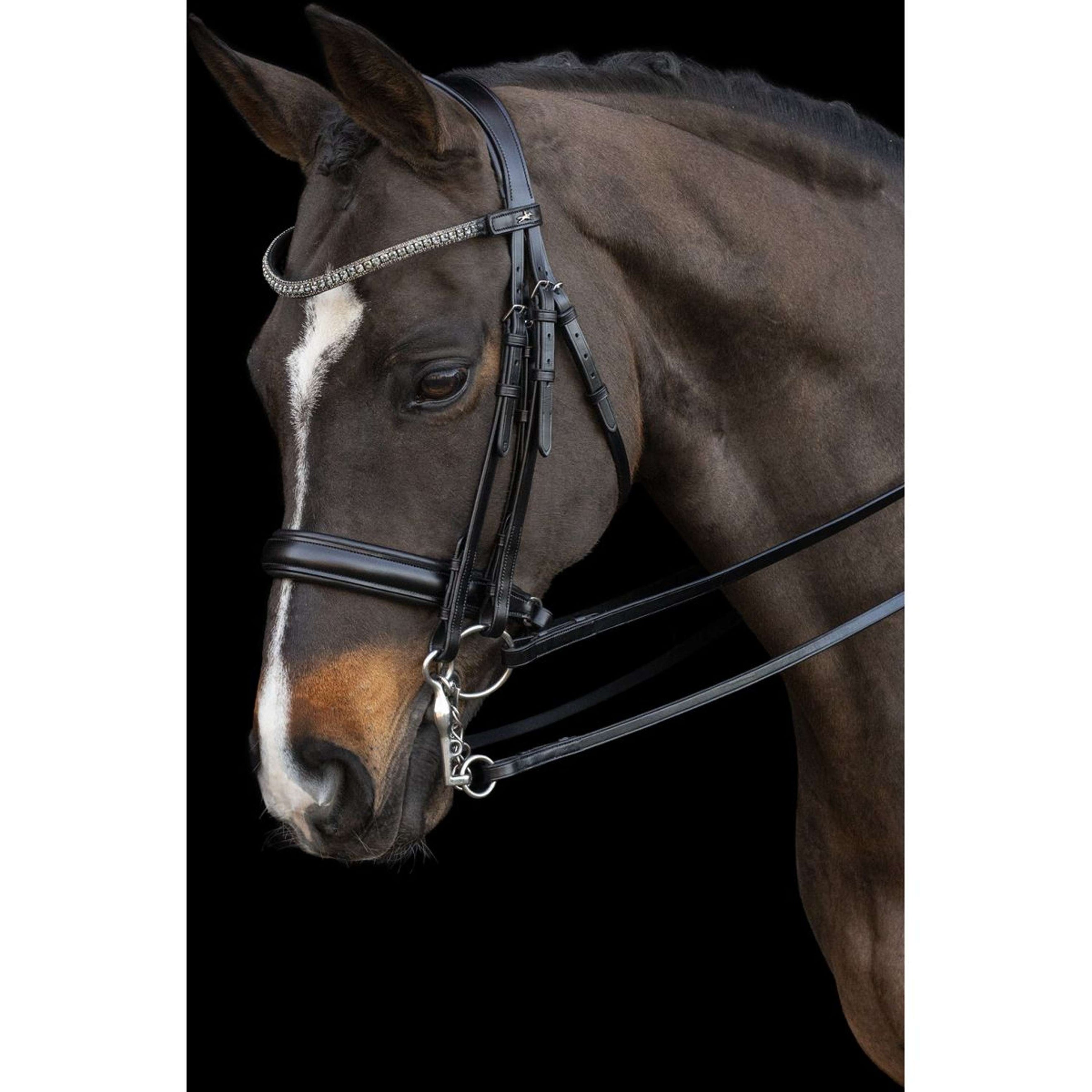 Schockemöhle Double Bridle Brindisi Black/Grey/Silver