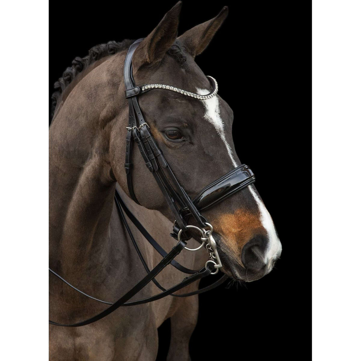 Schockemöhle Double Bridle Milazzo Black/Silver