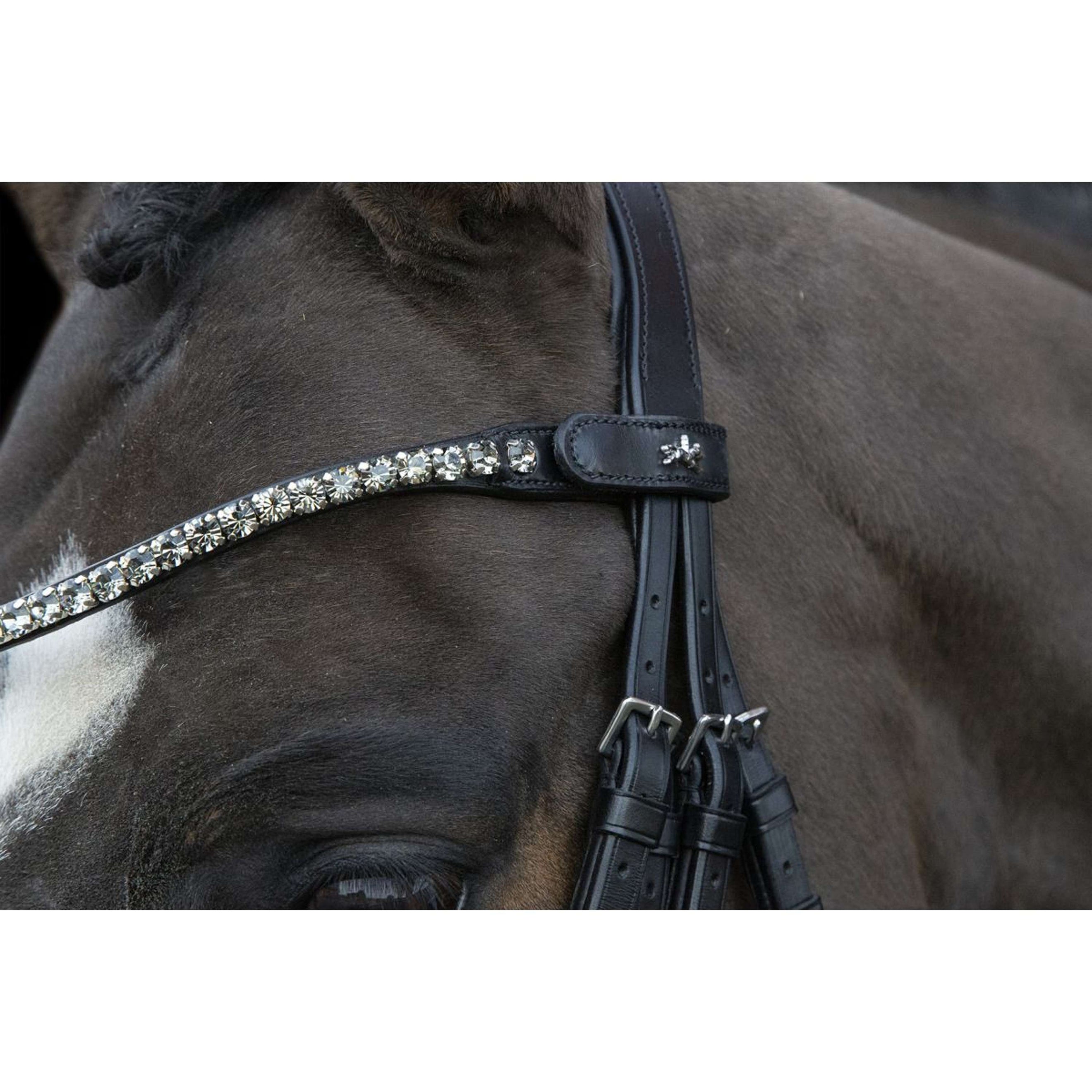 Schockemöhle Double Bridle Milazzo Black/Silver Schockemöhle Double Bridle Milazzo Black/Silver
