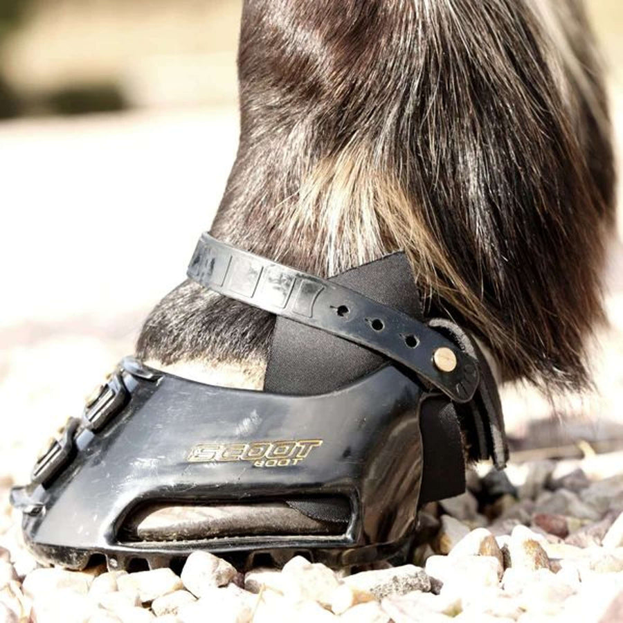 Scoot Boot Hybrid Gaiter Black