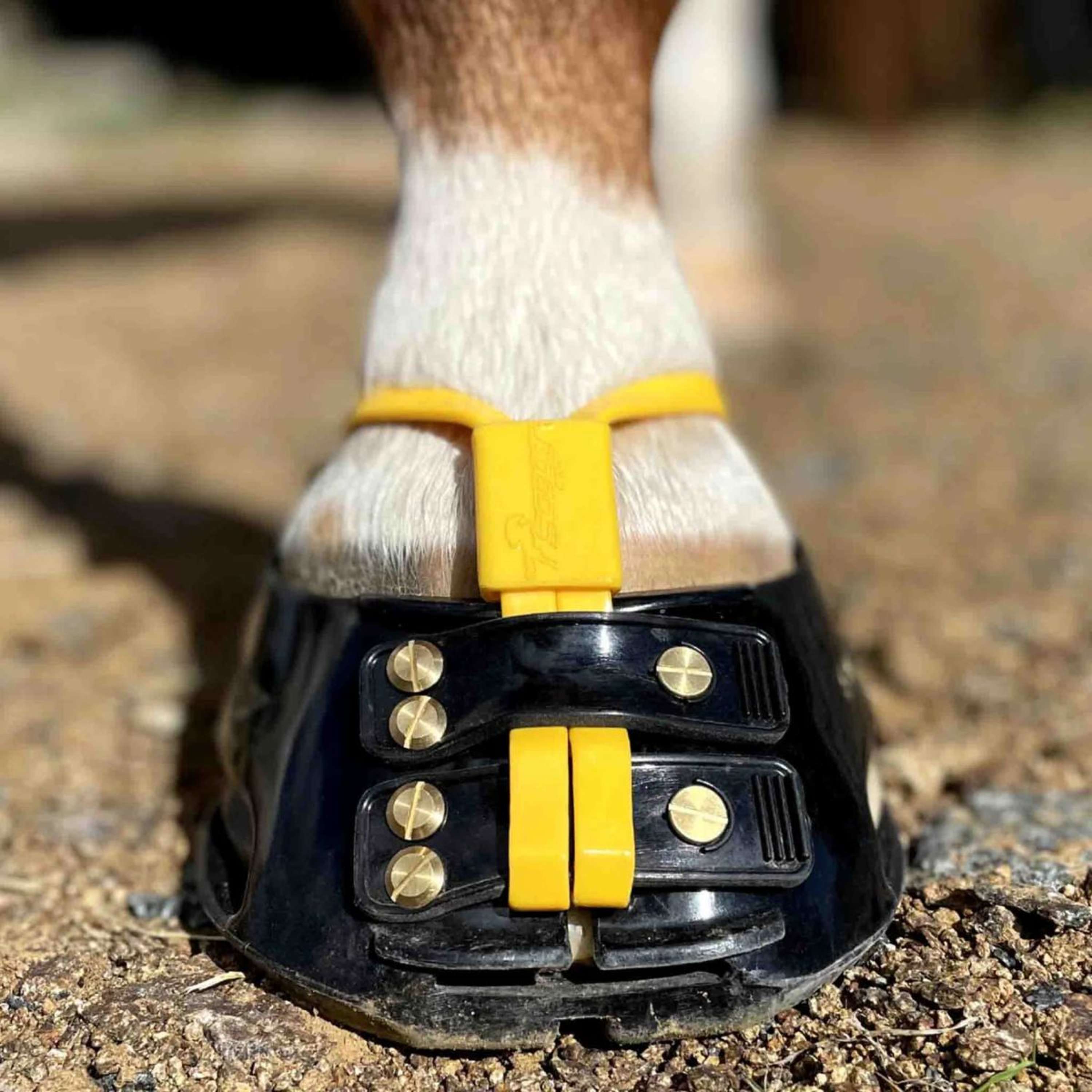 Scoot Boot Mud Strap Marigold